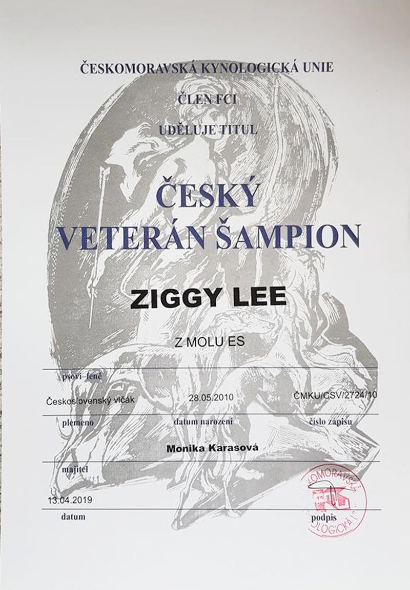  diplom Český Veterán Šampion - Ziggy Lee z Molu Es