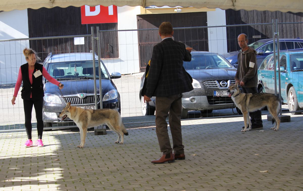 Ka Lupinka a Ovie z Katusického dvora