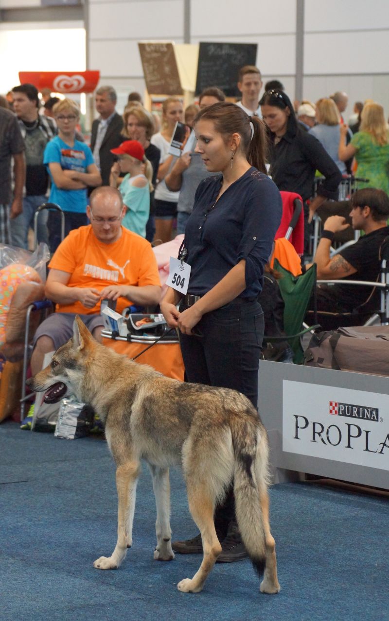 Dalibor Remus z Molu Es - Leipzig 2015