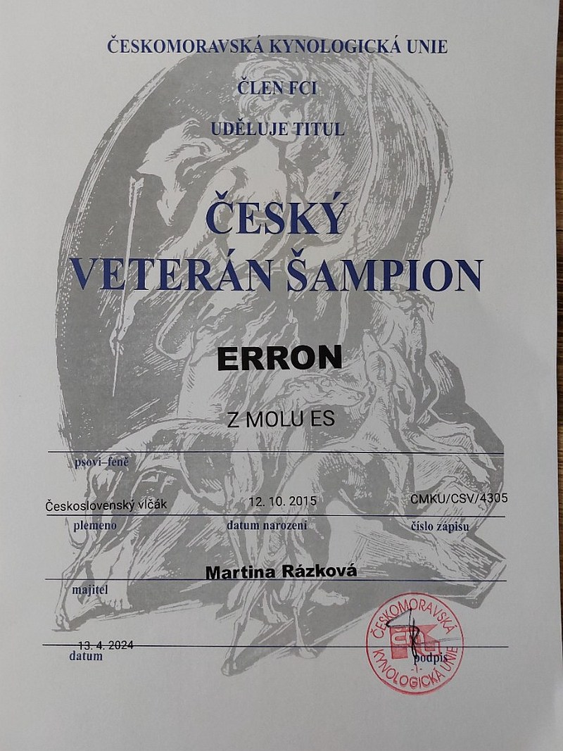  diplom Český veteran sampion 