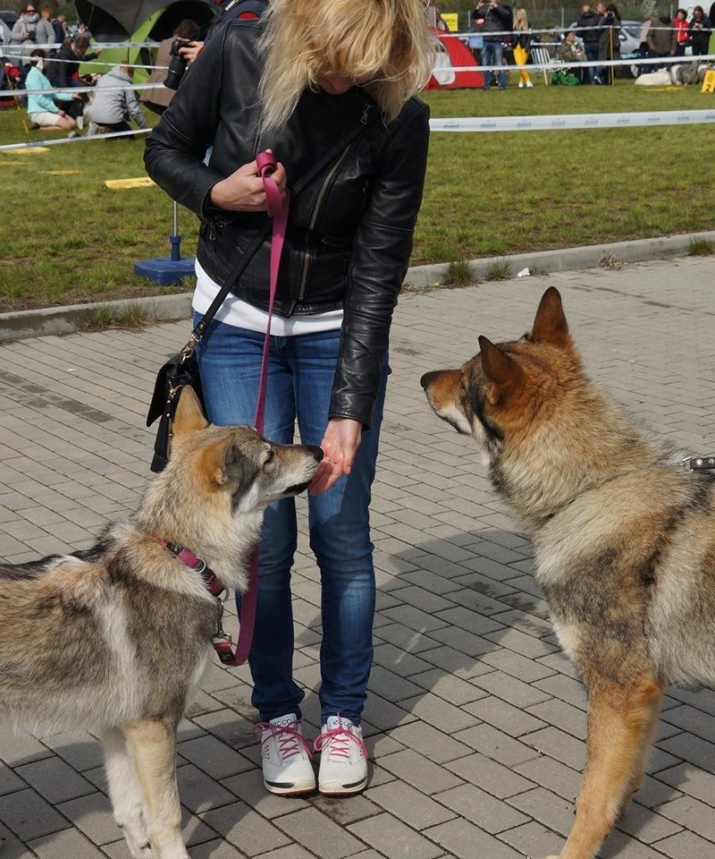 Opole - Frída z Molu Es a Goran z Deštné hory