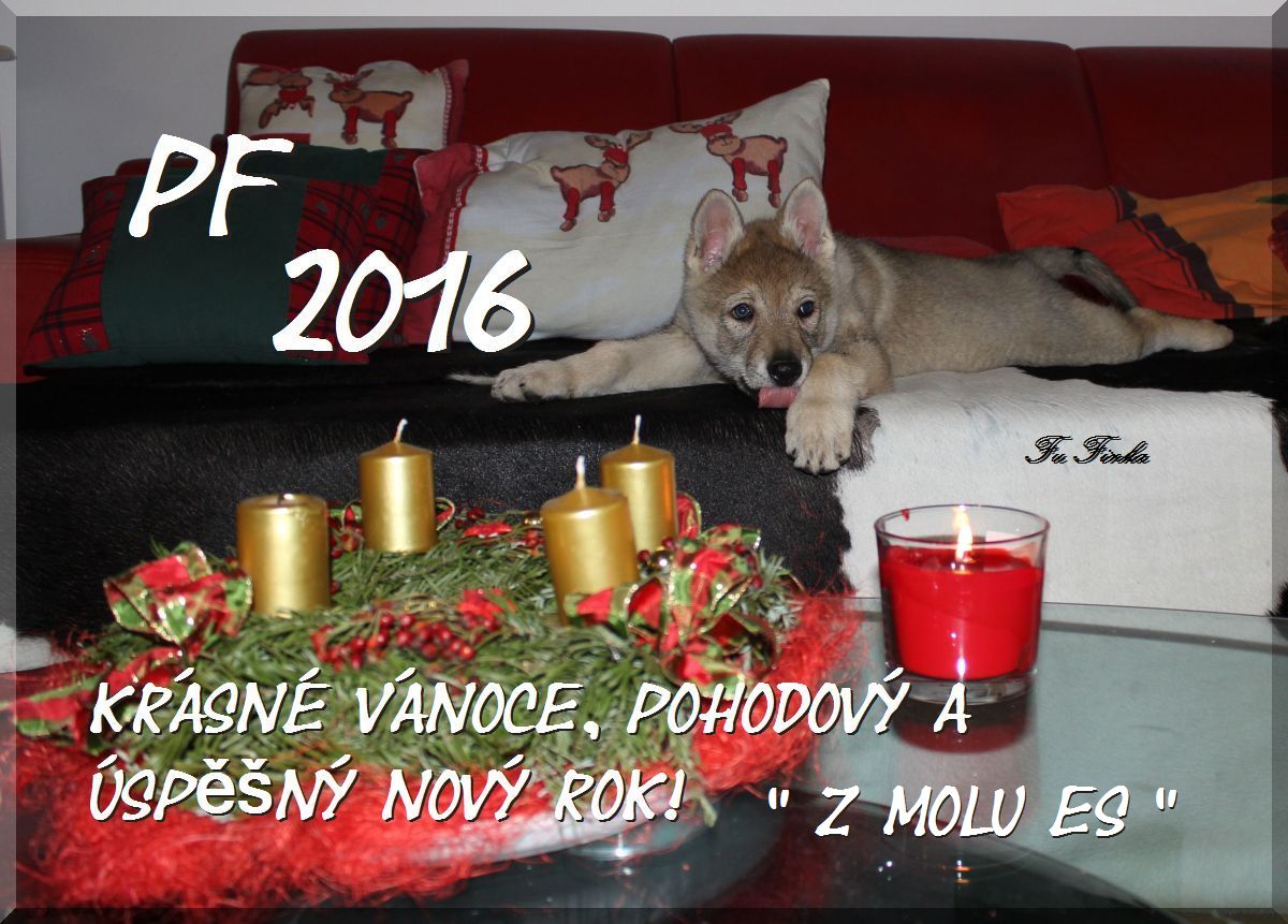 Pf 2016 kennel z Molu Es