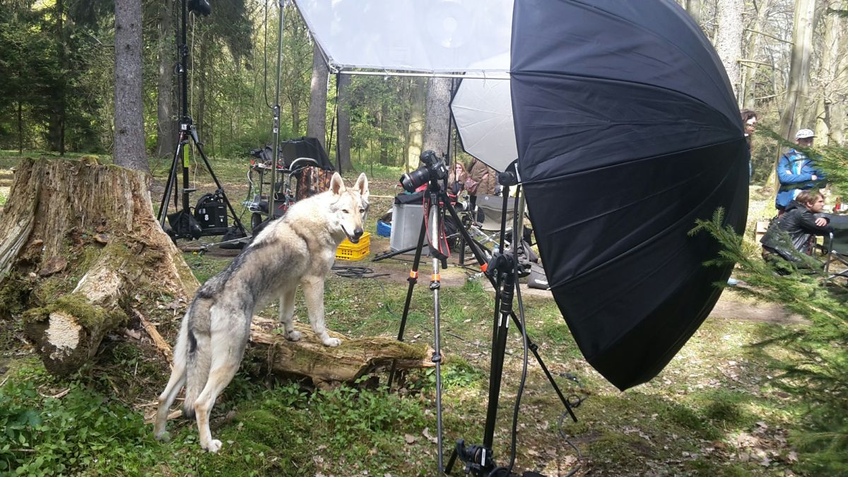 Fu Finka jako modelka - Průhonice