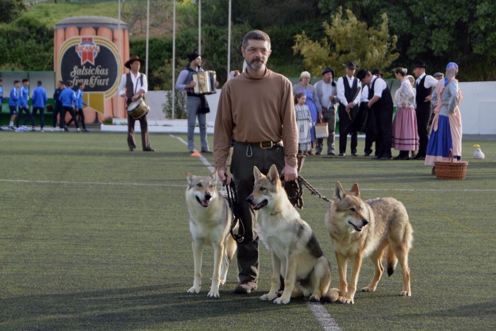 Miguel se svými psy, uprostřed Grey Wolf II. Z Molu Es