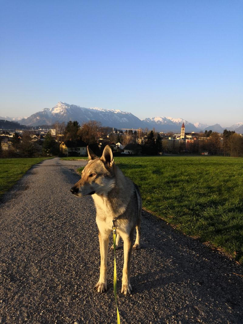 Salzburg - Erron z Molu Es