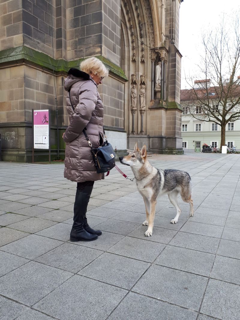 Harry a Pavlína Vajdová - Wels 2017