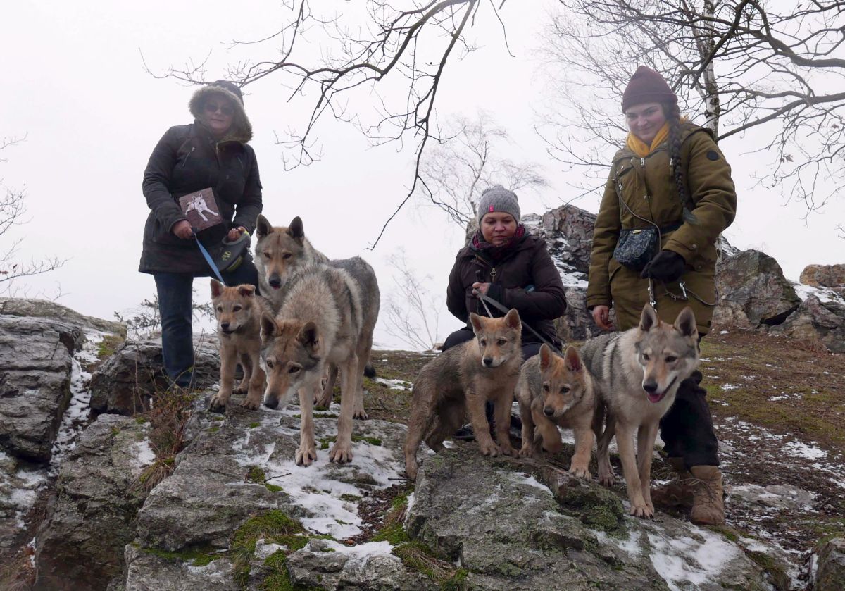  Kozi hřbety Erron, Korry, Fu Finka, Ka Lupinka, Kosmo Raff, Indigo