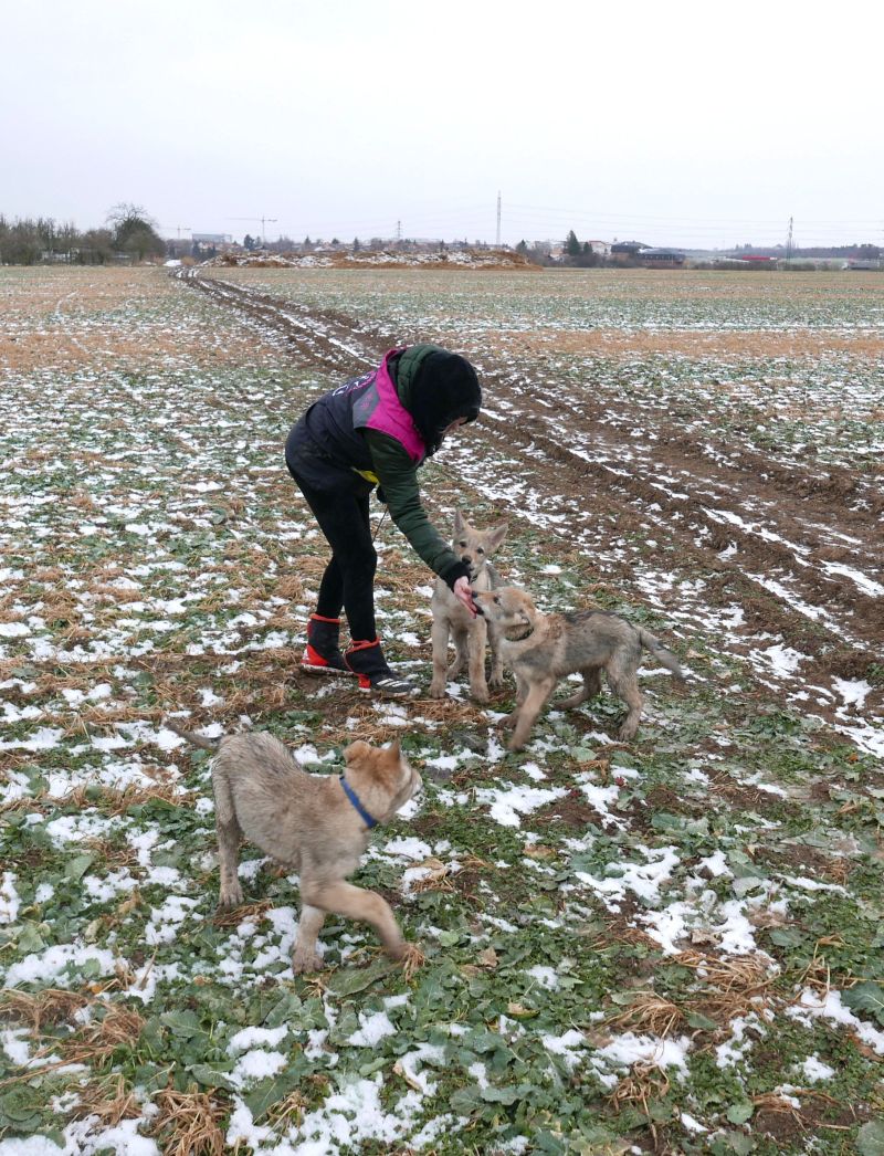 2019 prochazka - Korry, Kosmo Raff a Ka Lupinka