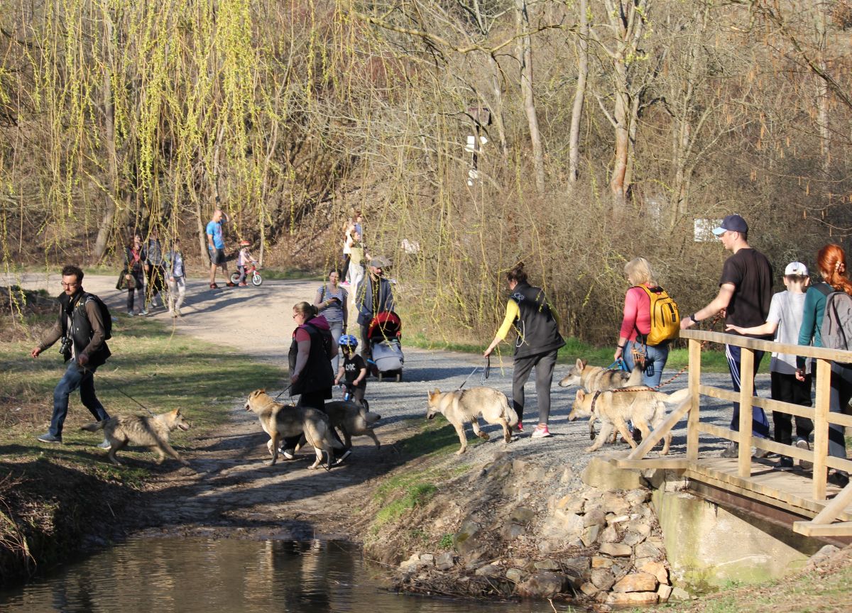 K štěňata a spol - Unětice , nástup na focení