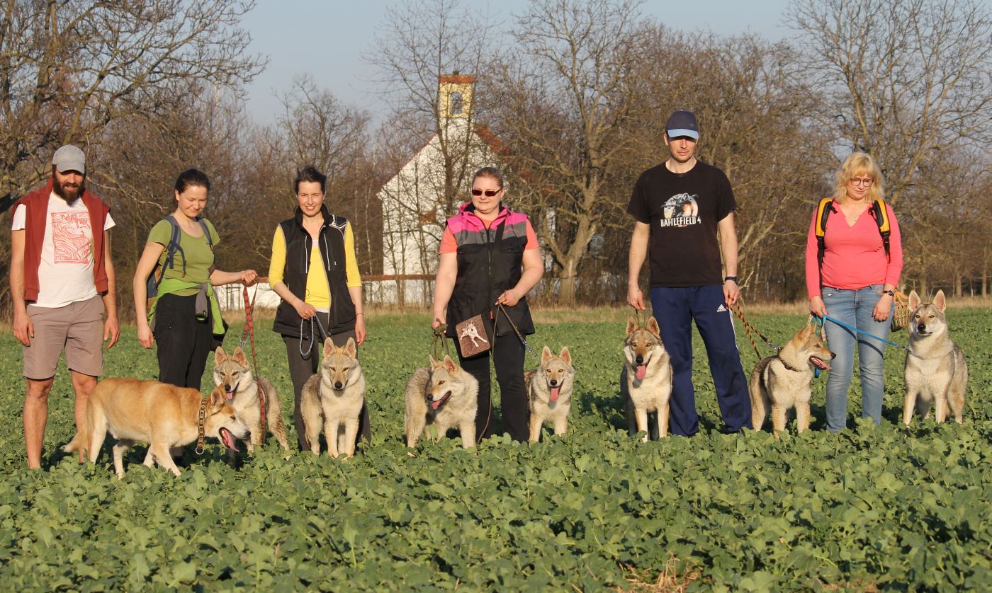 Suchdol 23.3. - Kříženec Rastík, Kaila, Kosmo Raff, Korry, Ka Lupinka, Tinky, Kip a Harriett