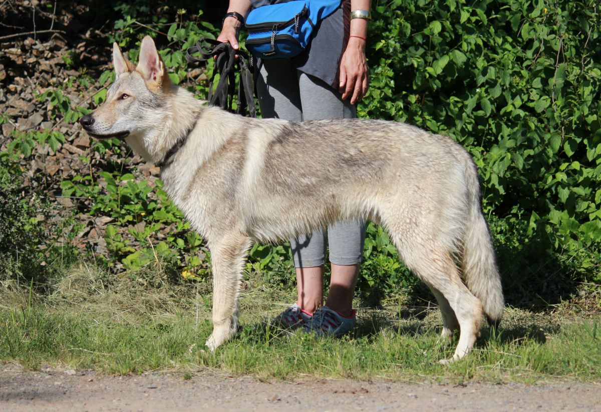 Kosmo Raff z Molu Es - 7 měsíců