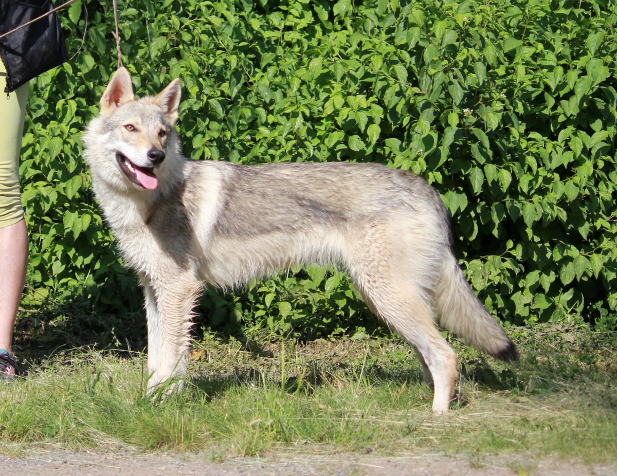 Ka Lupinka z Molu Es - 7 měsíců