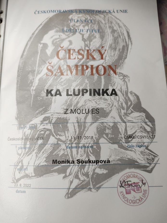 Český sampion - Ka Lupinka z Molu Es