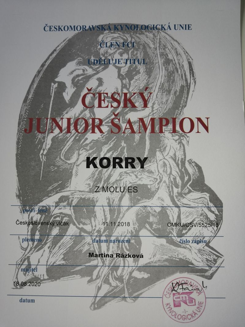 Český junio šampion - Korry