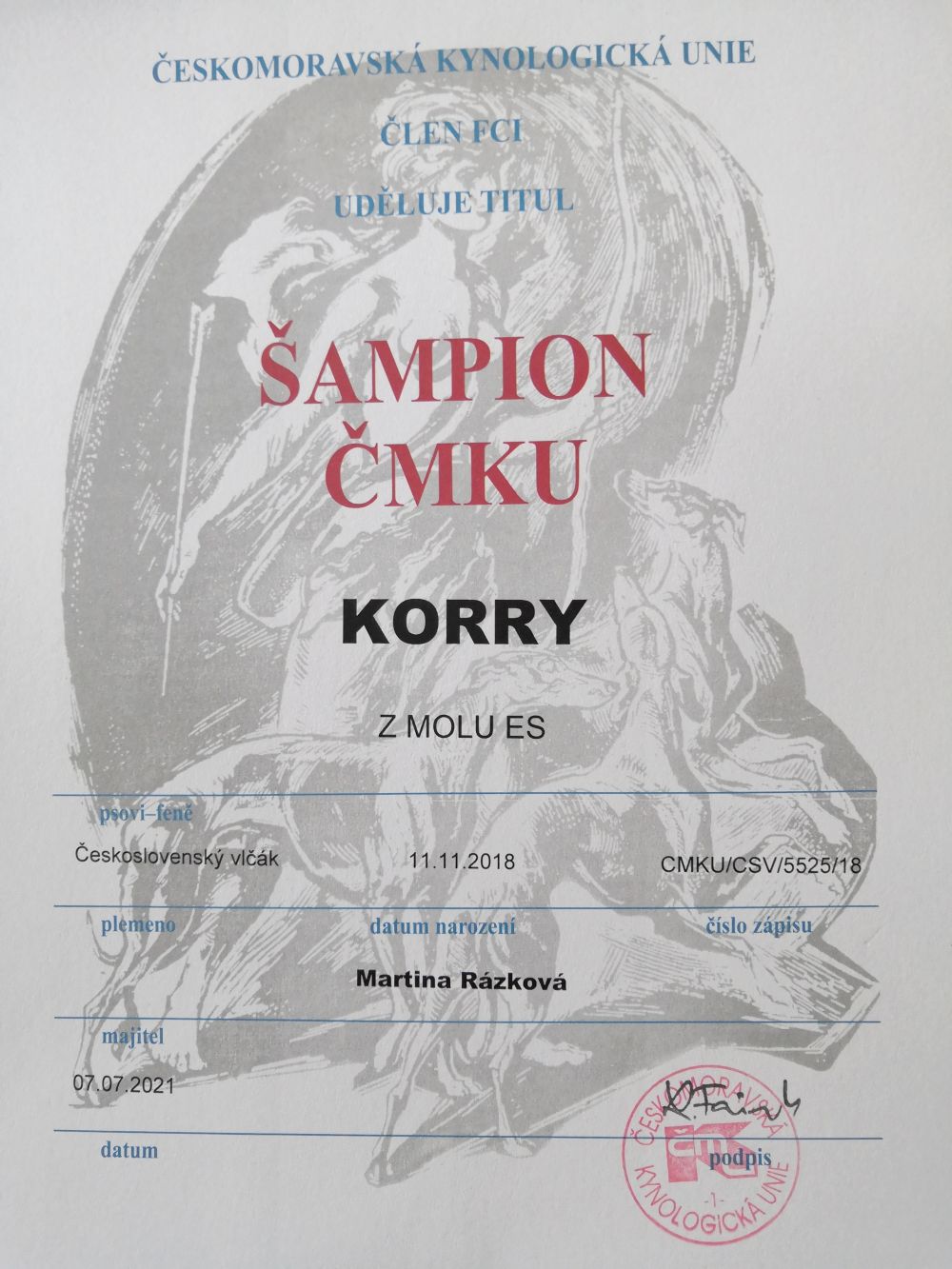 Korry z Molu Es - šampion ČMKU