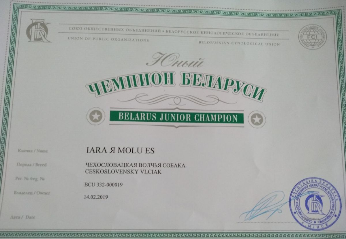 Belarus Junior champion