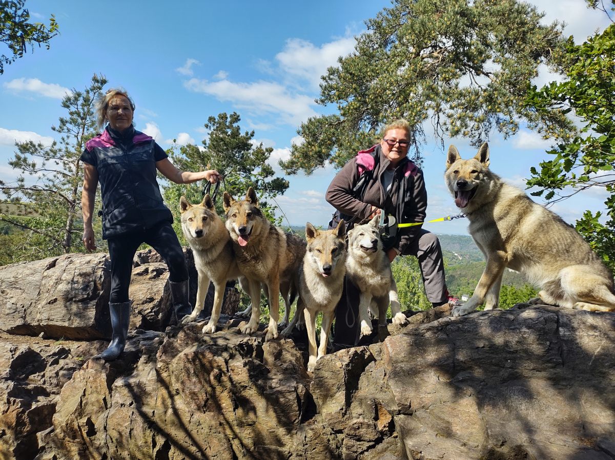 psi na Stříbrníku: Ka Lupinka, Tinky, Korry, Grey LT, a Erron - 30.5.2021