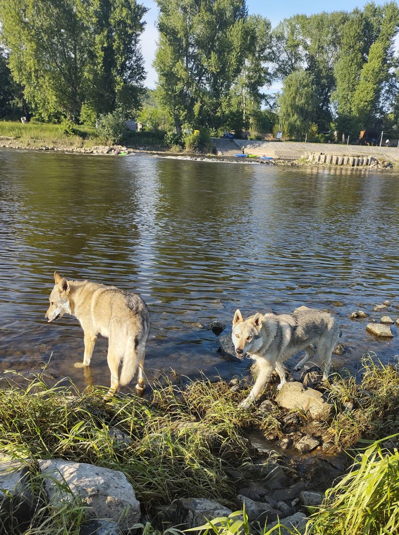 Korry a Ka Lupinka u Vltavy