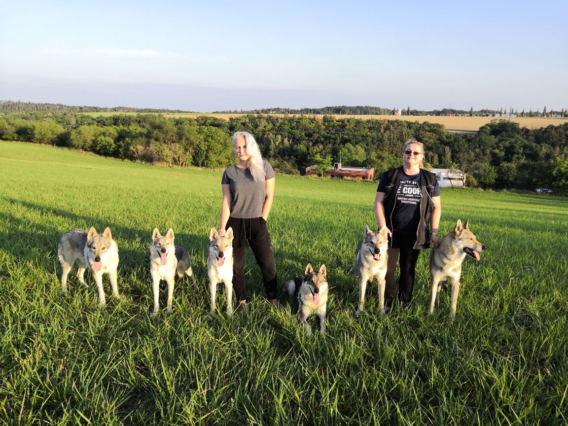 Yukon, Ka Lupinka, Fu Finka, Bára, Tinky, Korry, Martina a Erron