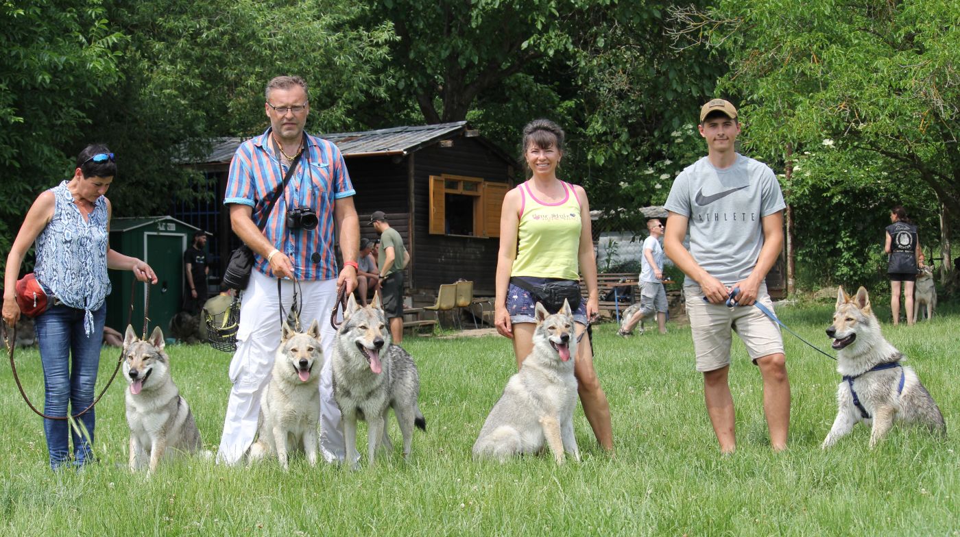 skupinka z Molu Es - Kulička, Ka Lupinka a Kvído, Kira law, Maiko