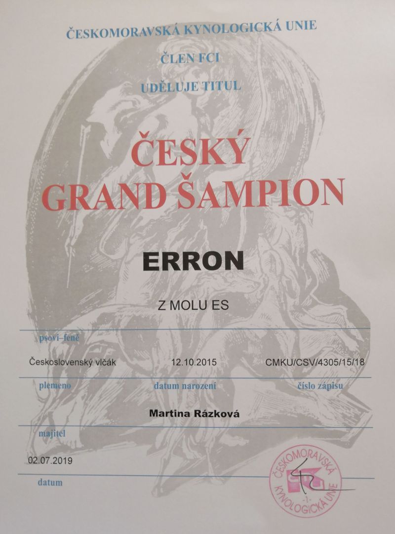 Český Grand šampion - Erron z Molu Es