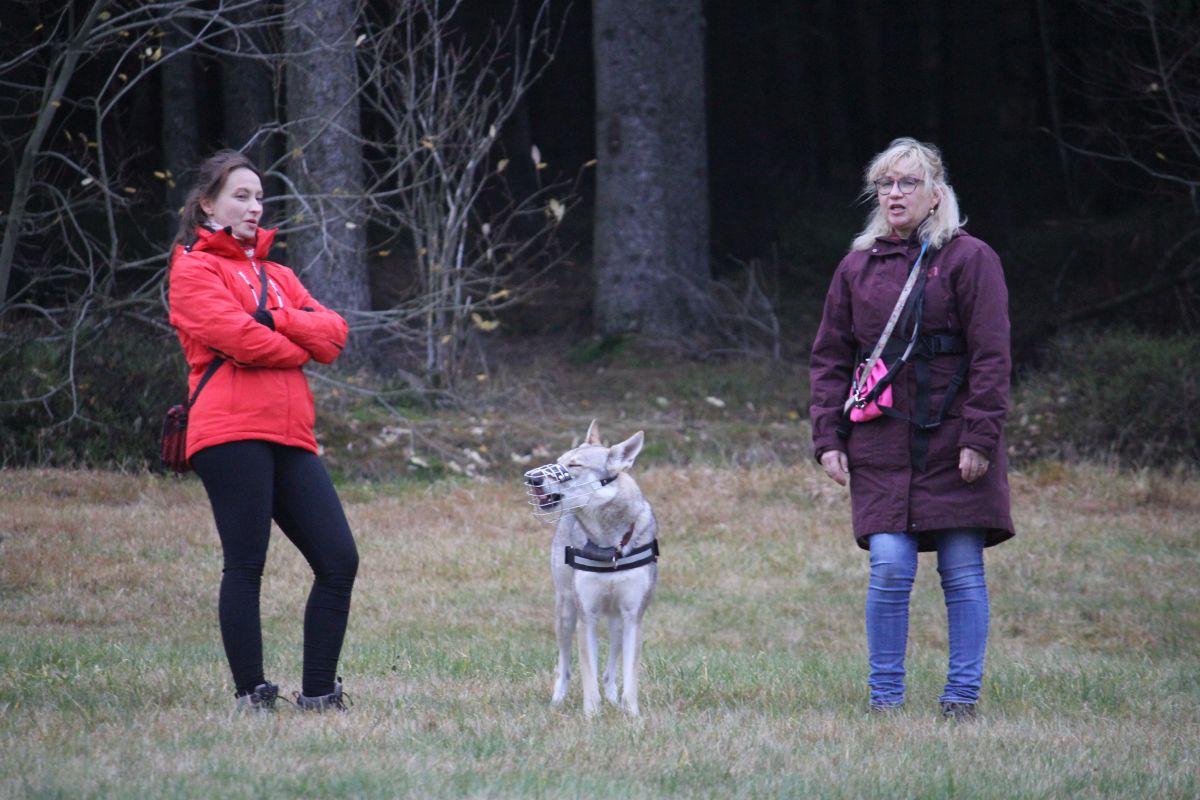 Harriett z Molu Es s majitelkou a kamarádkou