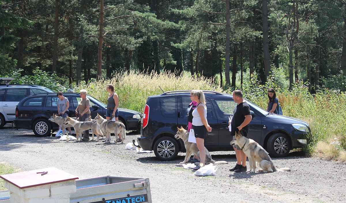 Memorial nastup účastníků