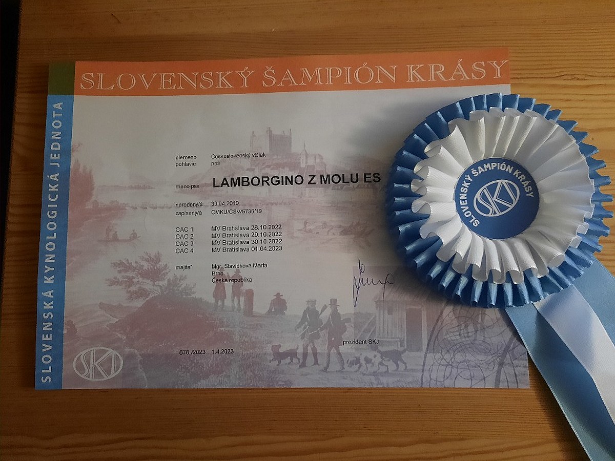  Slovenský šampion krásy - Lamborgino z Molu Es