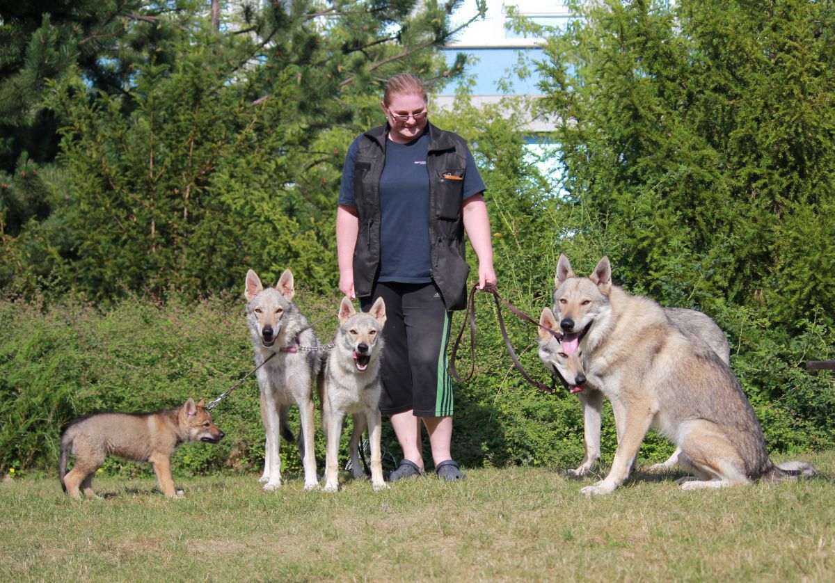 7 weeks Lord of Shadow, Fu fi, Kalup, Korry, Erron + Martina