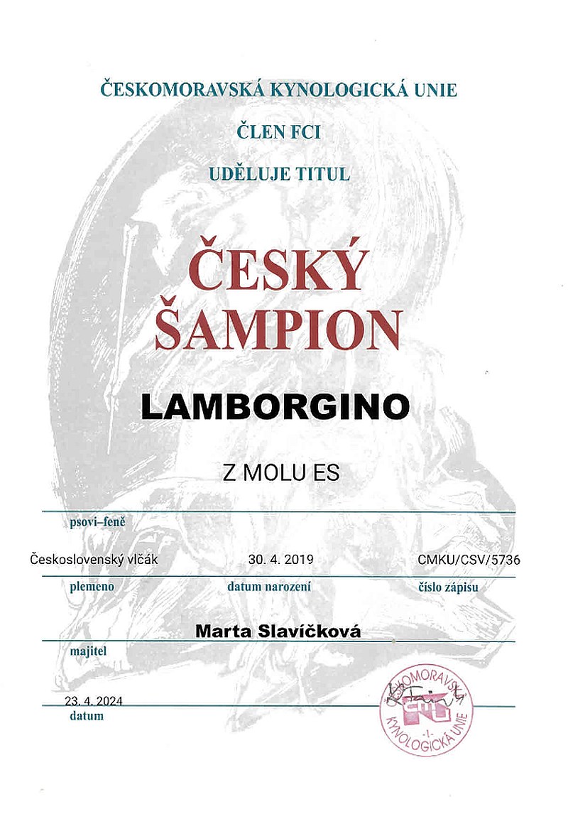 Český šampion - Lamborgino z Molu Es