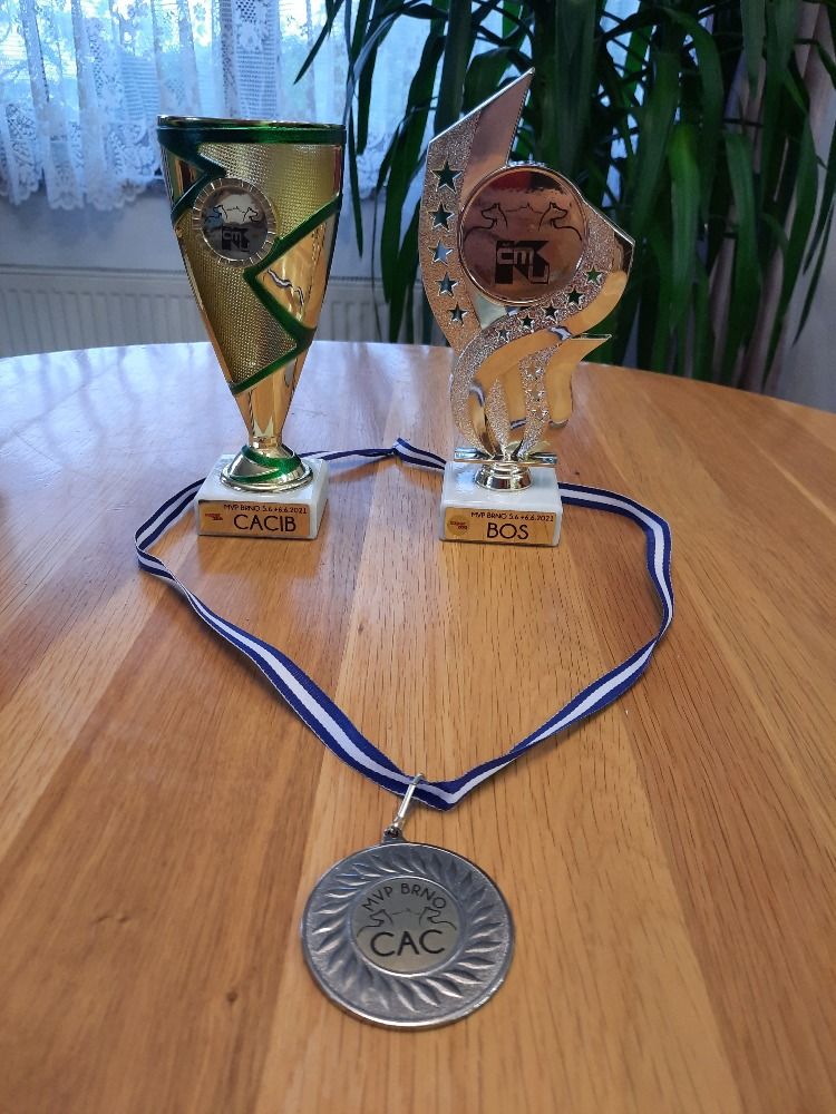 MVP Brno Lamborgino z Molu Es - trofeje