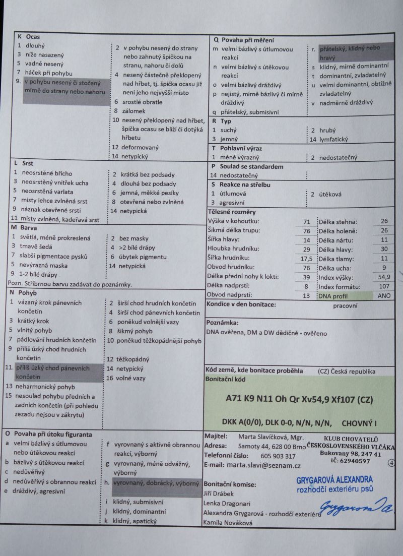 bonitace protokol - Lamborgino 2021