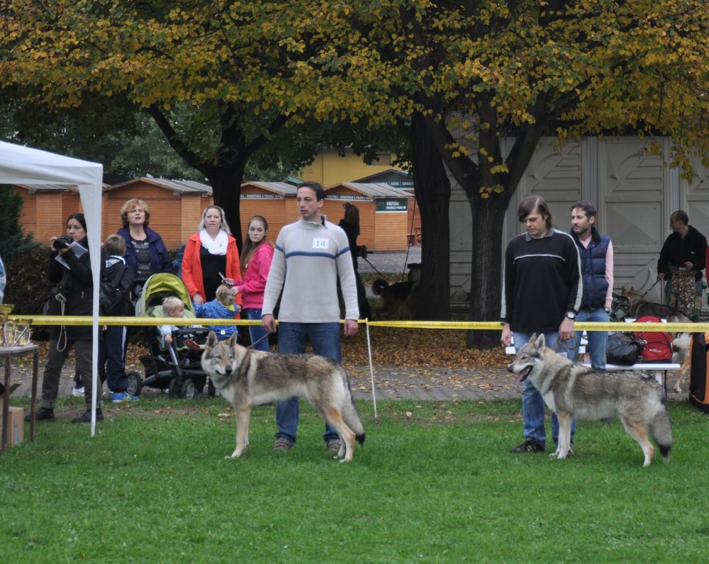 Candy z Molu Es a Cid z Postupického podlesí - V2 a V3 třída mladých