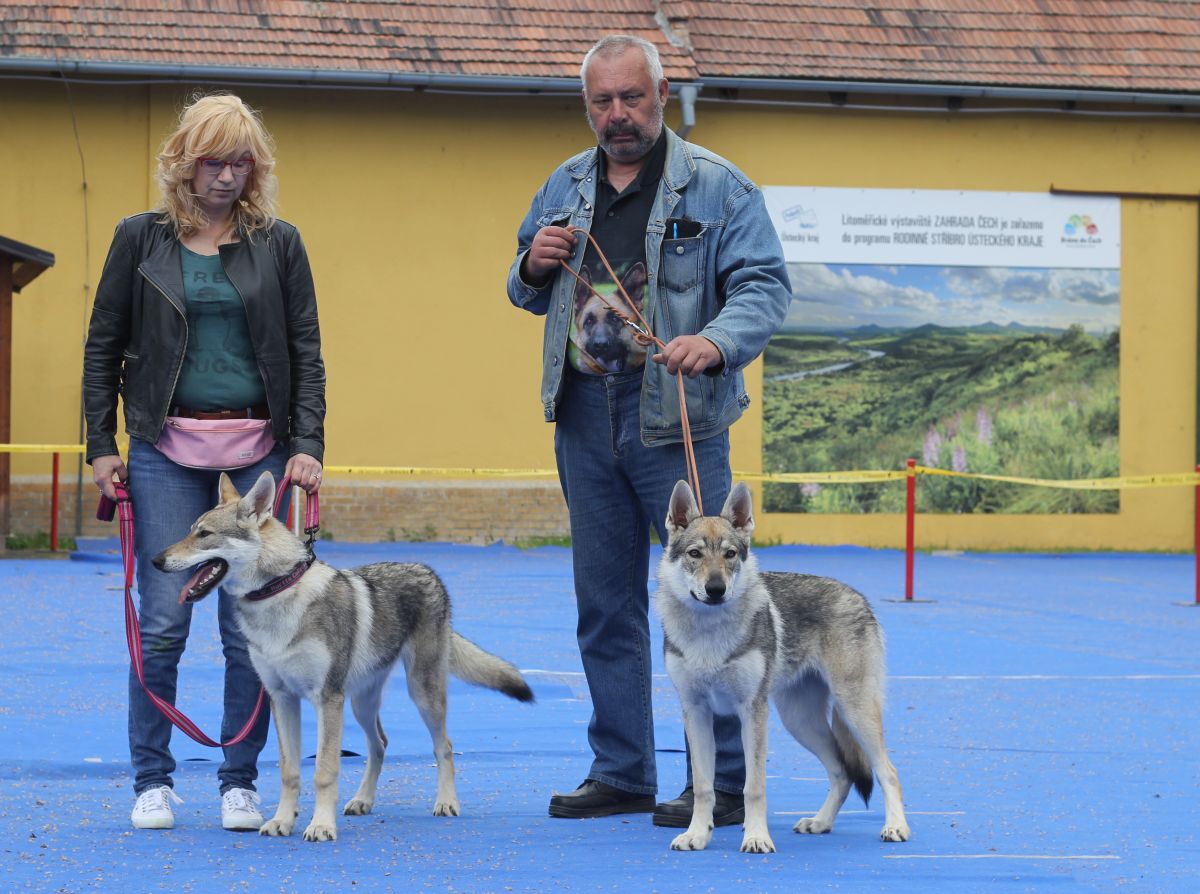 Harriett a Hoki z Molu Es 6 měsíců s p. Vajdovou a p. Moravcem - Litoměřice