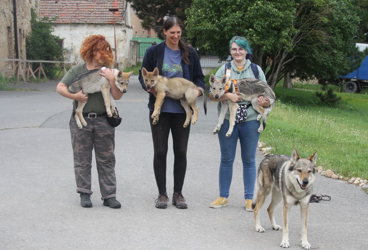 s majiteli Norbert, Hurvínek, Agáta a Budulínek