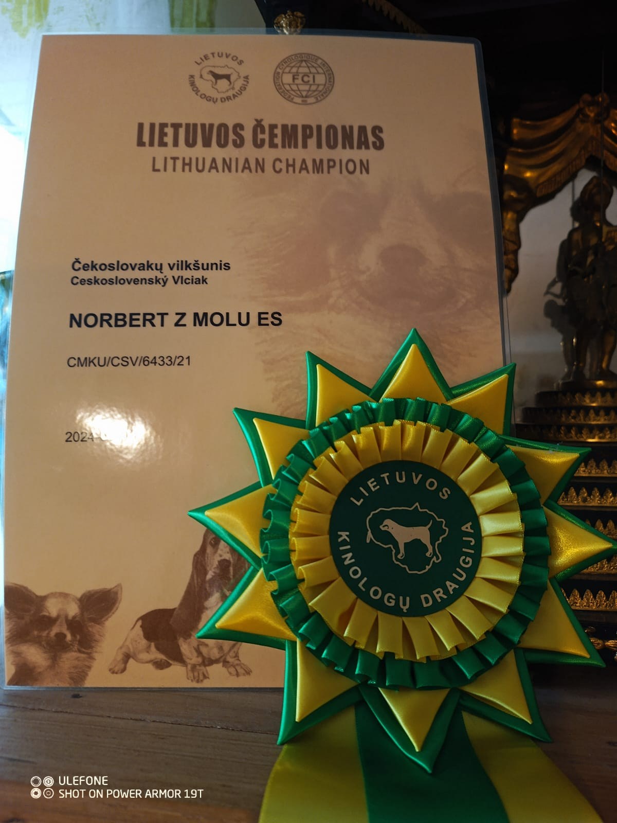 Litevský šampion - Norbert z Molu Es