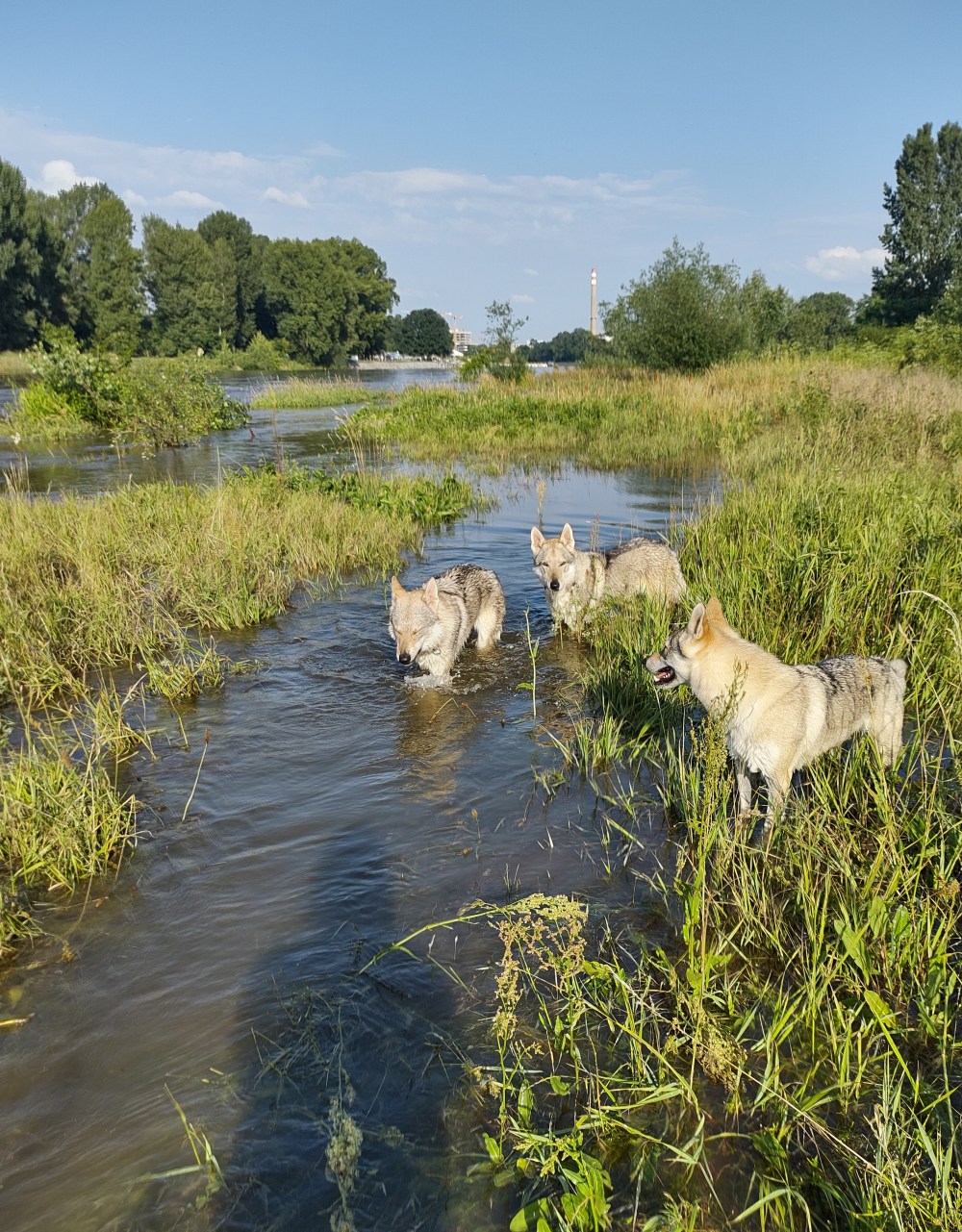 červenec 22 u Vltavy Bertik, FuFi, Kalup