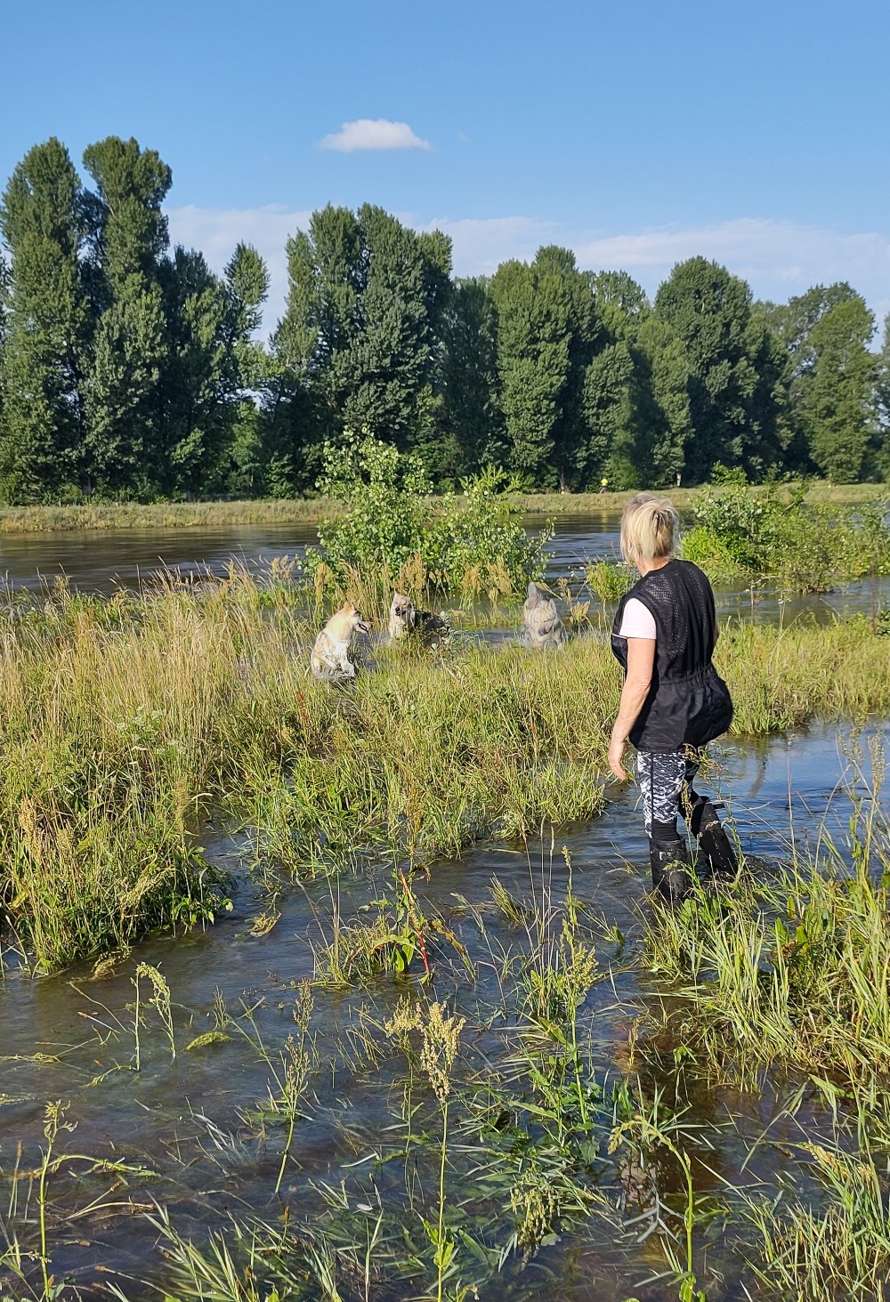 červenec 22 - Bertík, Fu Finka a Ka Lupinka