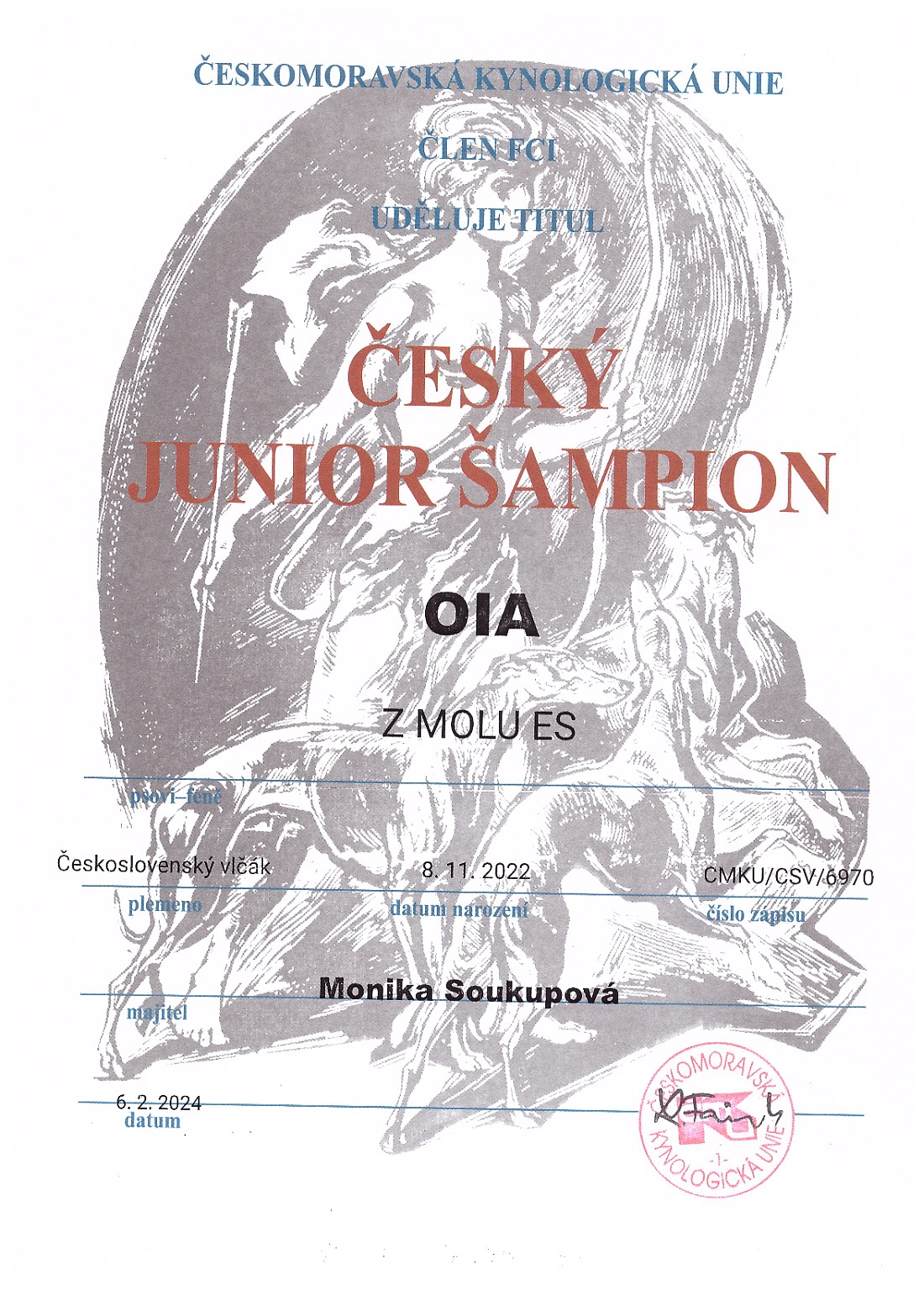 Český Junior šampion