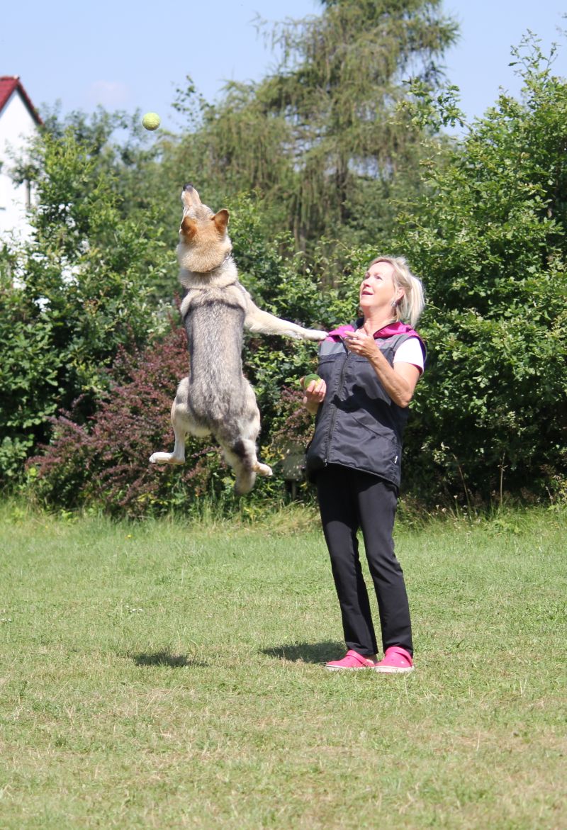 Ka Lupinka miluje míčky