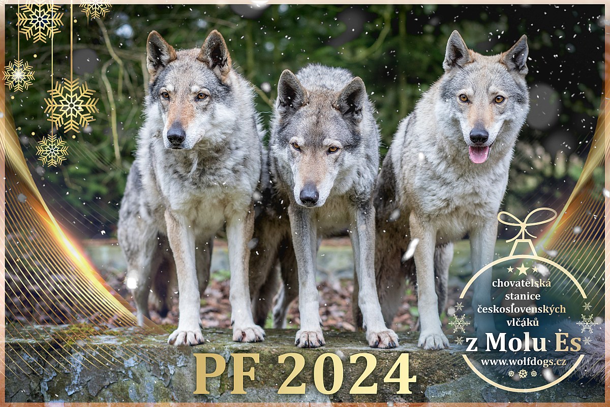 PF 2024