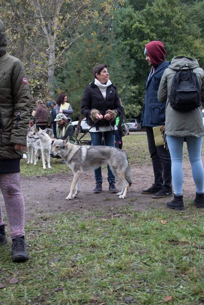 Kulička s paničkou