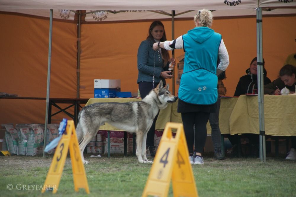 Lamborgino z Molu Es - Drahonín