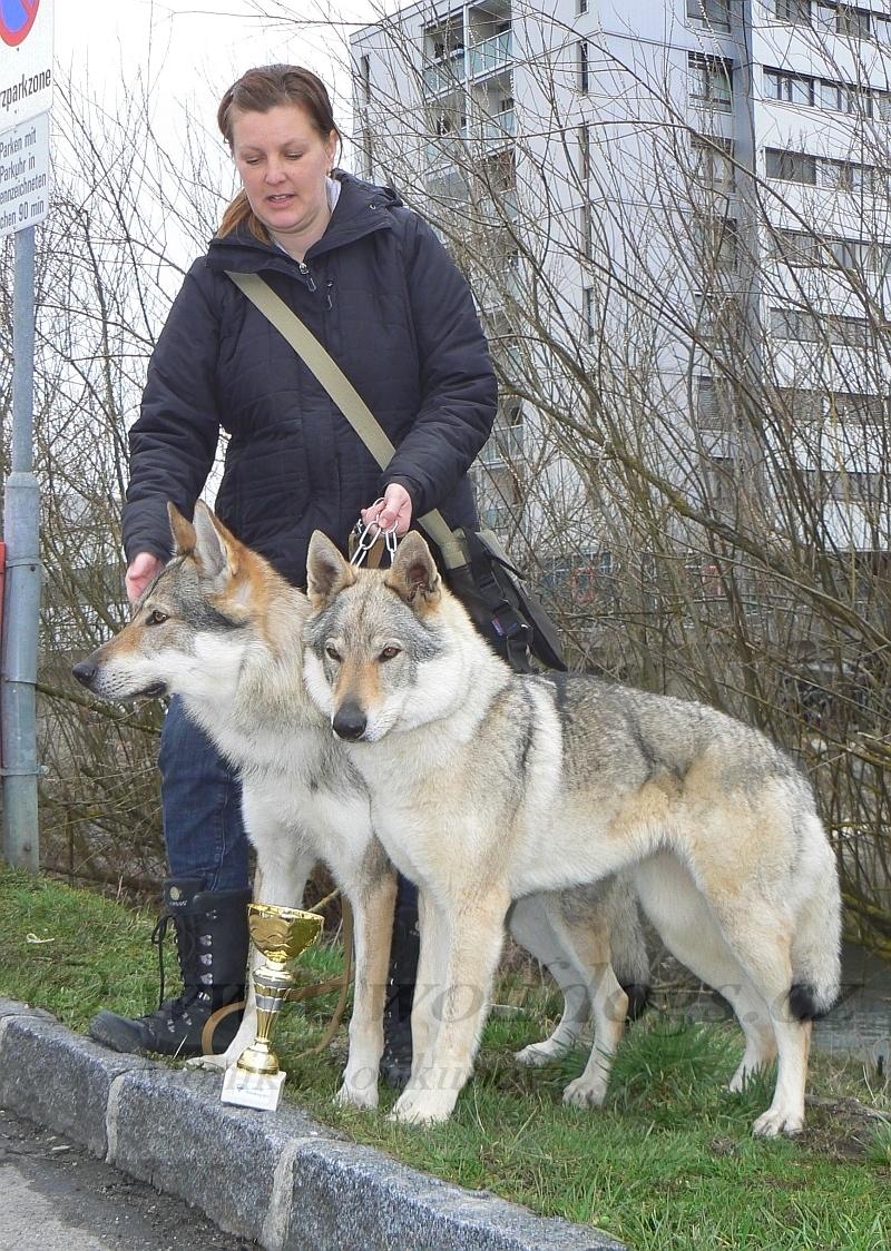 Ziggy Lee a Yukon s Monikou - Wieselburg