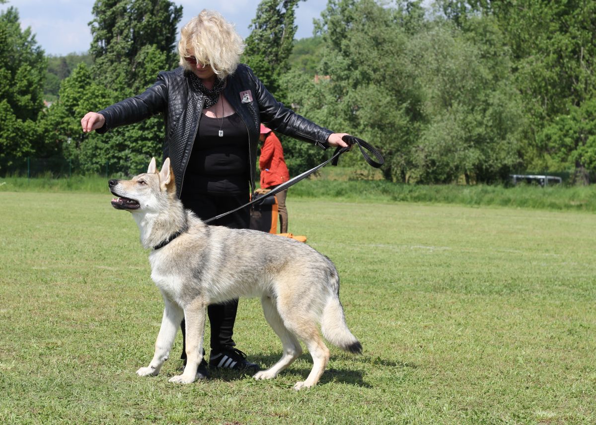 Fehu Avatar z Molu Es - Židlochovice