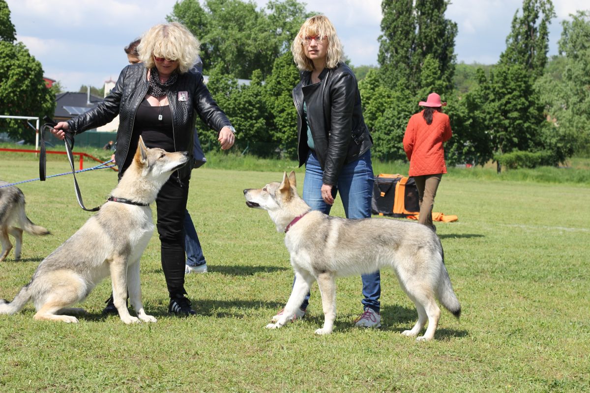 Fehu Avatar a Frída z Molu Es - Židlochovice