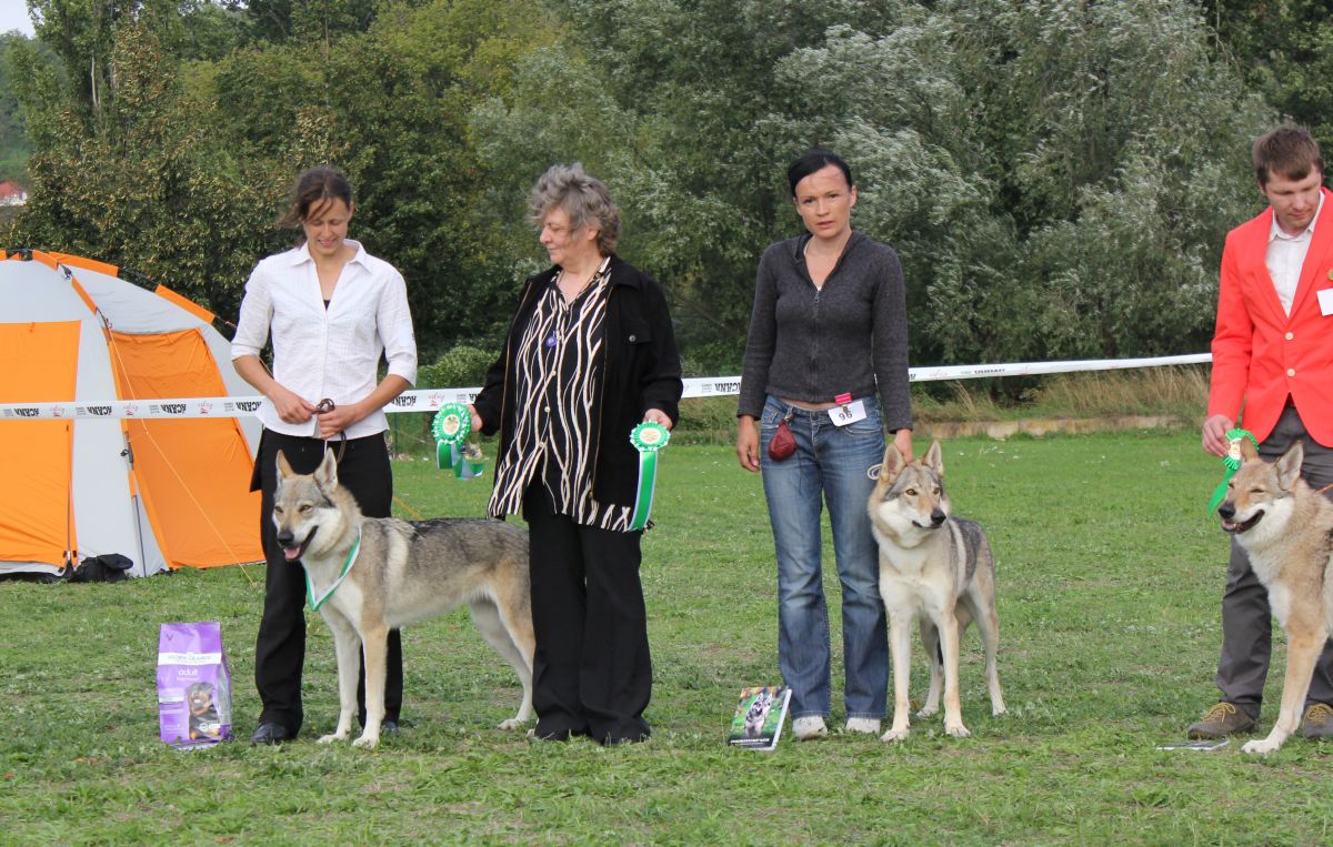 vítězů feny:I. Hope Grey S.snů, II.  Aglaya z Molu Es, III. Etee od Úhoště