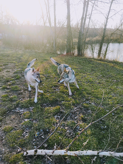 Vojkovice 14. 2. Ka Lupinka a Fu Finka