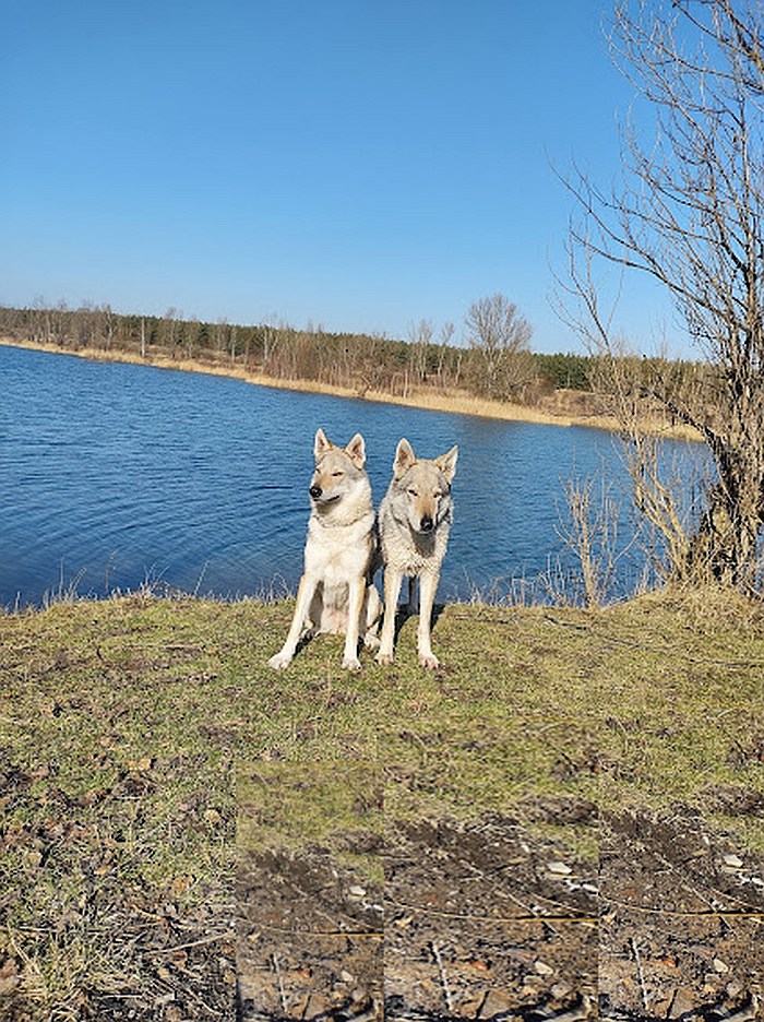 Vojkovice  Ka Lupinka a Fu Finka