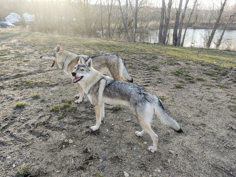 Vojkovice 14.2. Ka Lupinka a Fu Finka